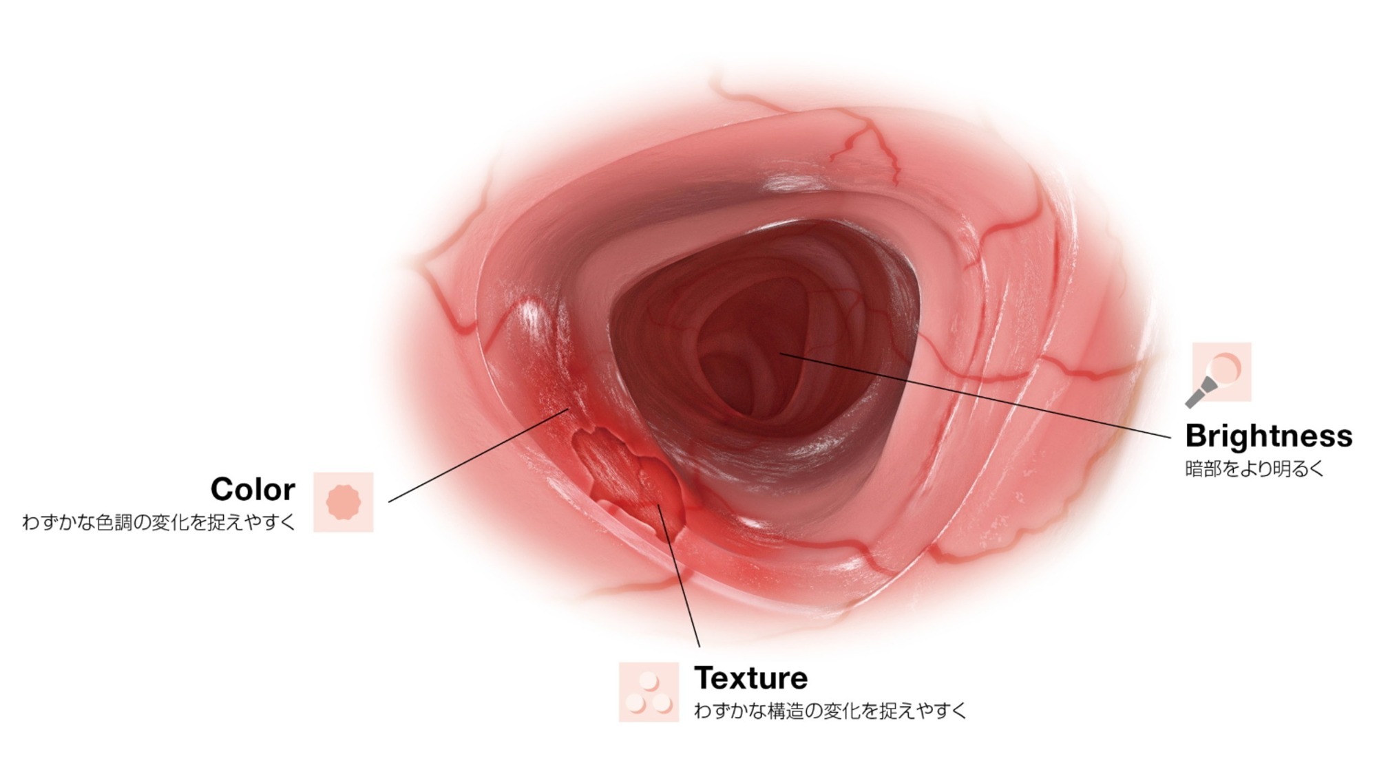 癌の早期発見　深津内科医院